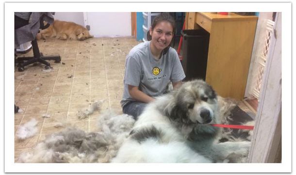 Lesley`s Complete Pet Parl